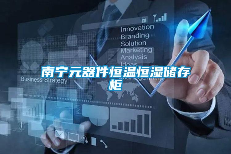 南寧元器件恒溫恒濕儲(chǔ)存柜