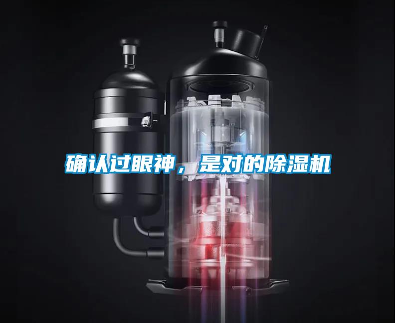 確認(rèn)過(guò)眼神，是對(duì)的除濕機(jī)