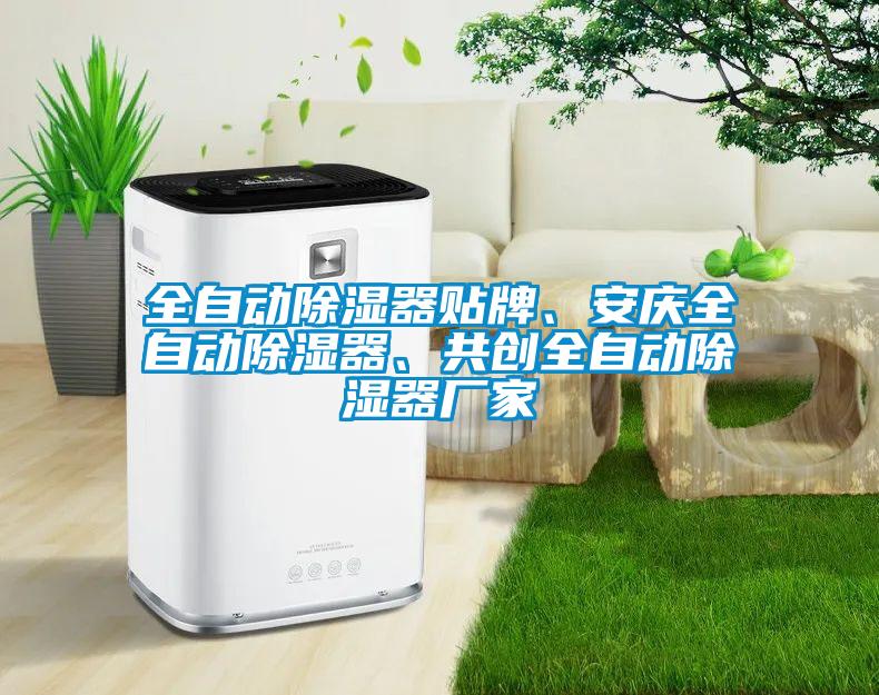 全自動除濕器貼牌、安慶全自動除濕器、共創(chuàng)全自動除濕器廠家
