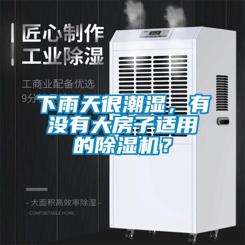 下雨天很潮濕，有沒(méi)有大房子適用的除濕機(jī)？