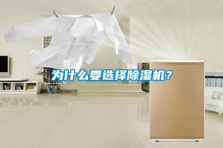 為什么要選擇除濕機？