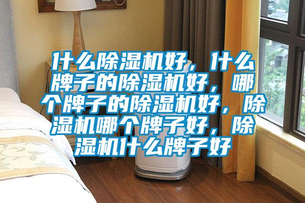 什么除濕機好，什么牌子的除濕機好，哪個牌子的除濕機好，除濕機哪個牌子好，除濕機什么牌子好