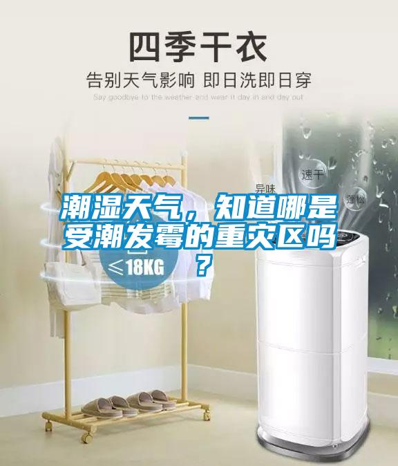 潮濕天氣，知道哪是受潮發(fā)霉的重災(zāi)區(qū)嗎？