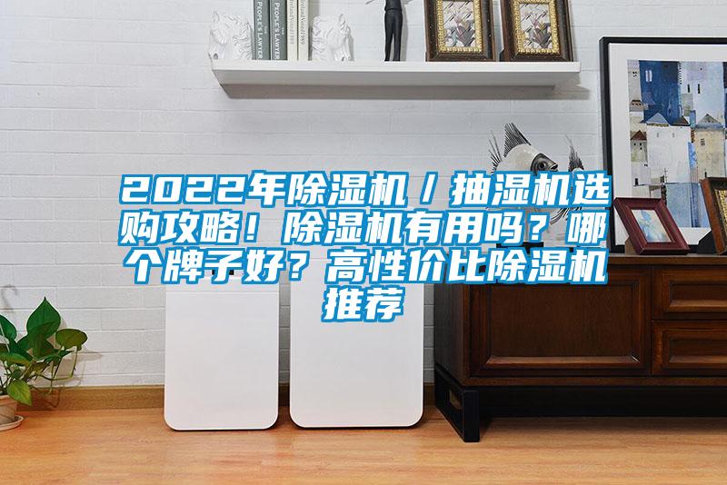 2022年除濕機(jī)／抽濕機(jī)選購(gòu)攻略！除濕機(jī)有用嗎？哪個(gè)牌子好？高性?xún)r(jià)比除濕機(jī)推薦