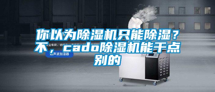 你以為除濕機只能除濕？不，cado除濕機能干點別的