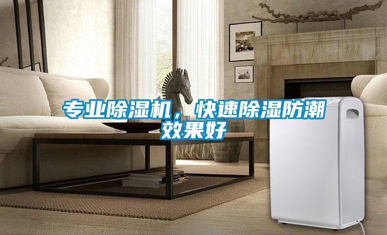 專業(yè)除濕機(jī)，快速除濕防潮效果好