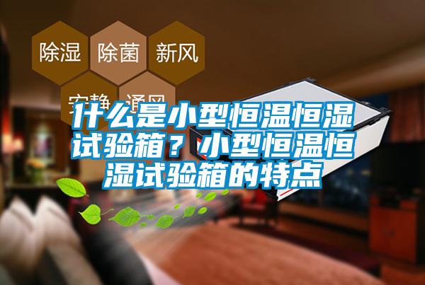 什么是小型恒溫恒濕試驗箱？小型恒溫恒濕試驗箱的特點
