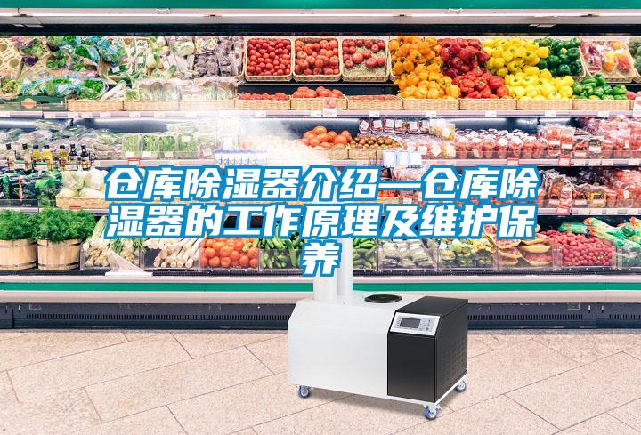 倉庫除濕器介紹—倉庫除濕器的工作原理及維護保養(yǎng)