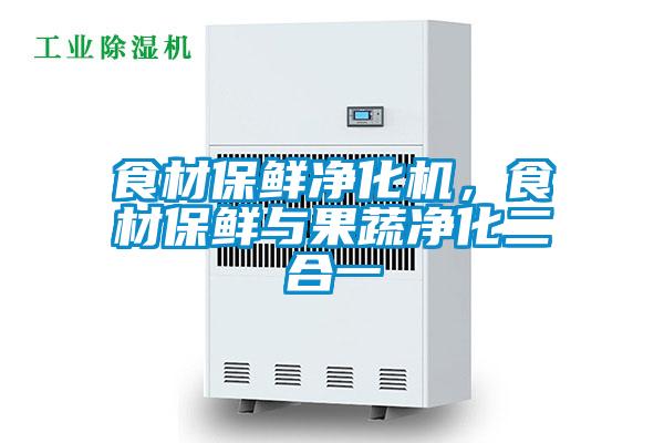 食材保鮮凈化機(jī)，食材保鮮與果蔬凈化二合一