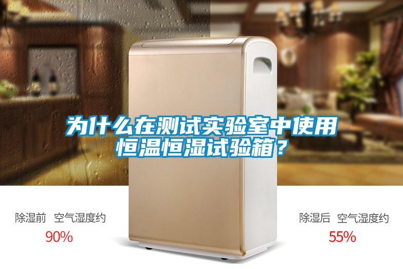 為什么在測試實驗室中使用恒溫恒濕試驗箱？