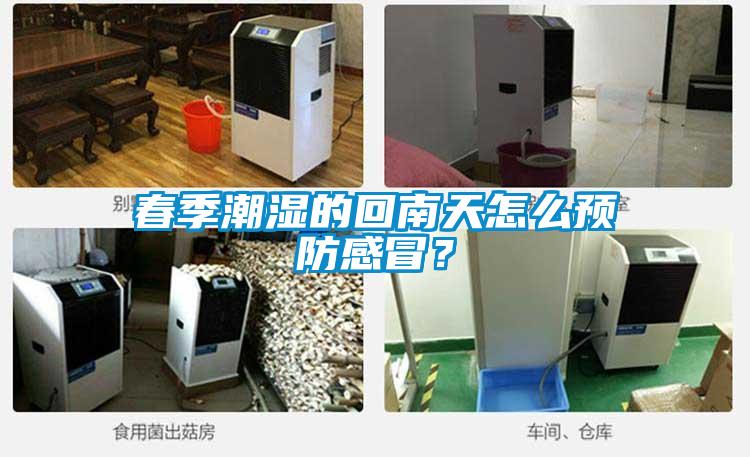 春季潮濕的回南天怎么預(yù)防感冒？