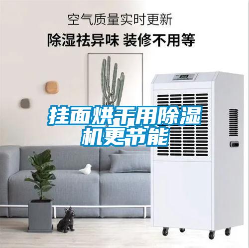 掛面烘干用除濕機更節(jié)能