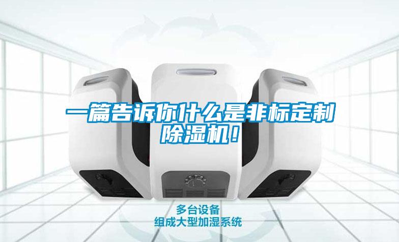 一篇告訴你什么是非標(biāo)定制除濕機(jī)！