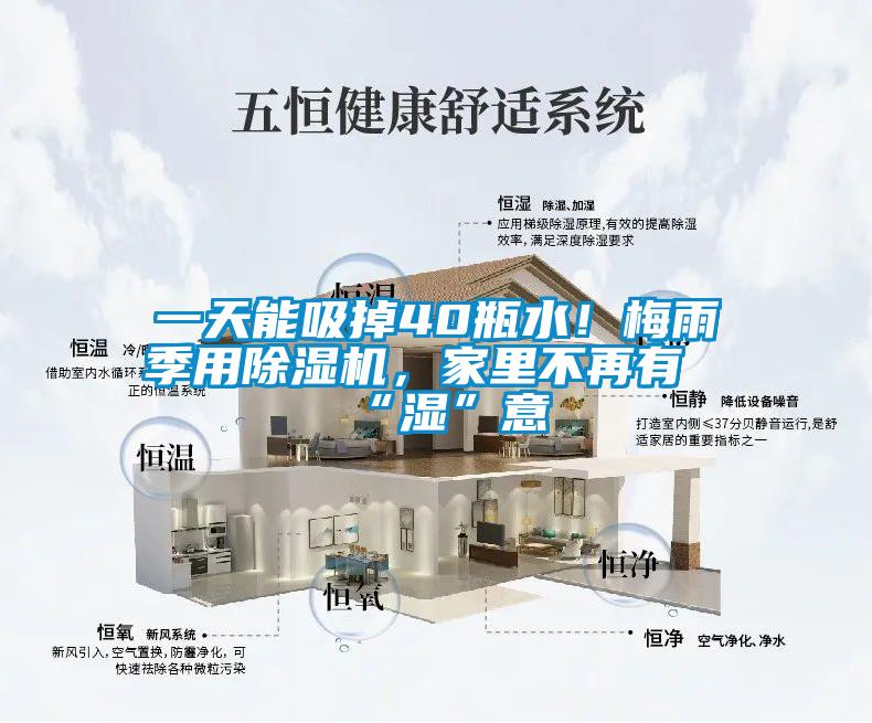 一天能吸掉40瓶水！梅雨季用除濕機，家里不再有“濕”意