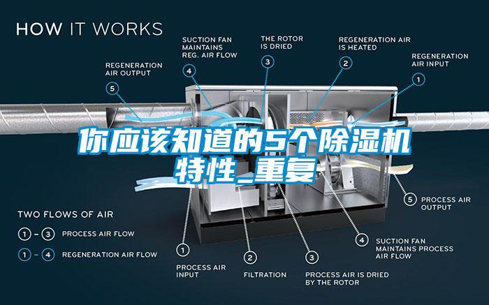 你應(yīng)該知道的5個除濕機特性_重復