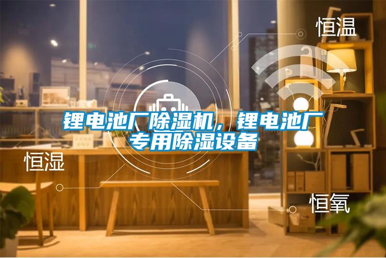 鋰電池廠除濕機(jī)，鋰電池廠專用除濕設(shè)備