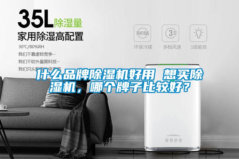 什么品牌除濕機好用 想買除濕機，哪個牌子比較好？