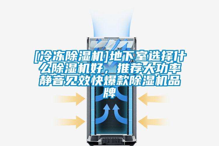 [冷凍除濕機]地下室選擇什么除濕機好，推薦大功率靜音見效快爆款除濕機品牌