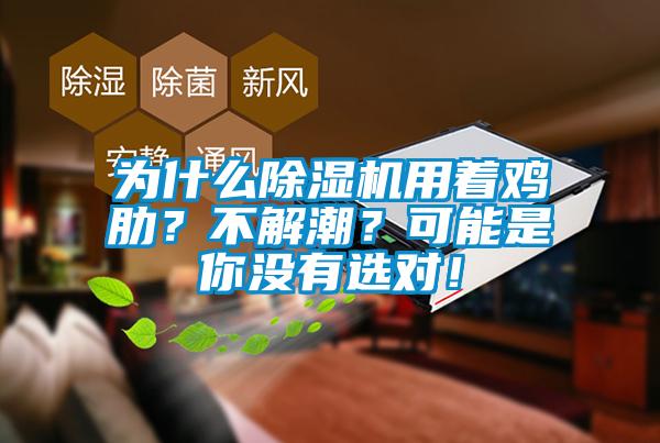 為什么除濕機(jī)用著雞肋？不解潮？可能是你沒(méi)有選對(duì)！