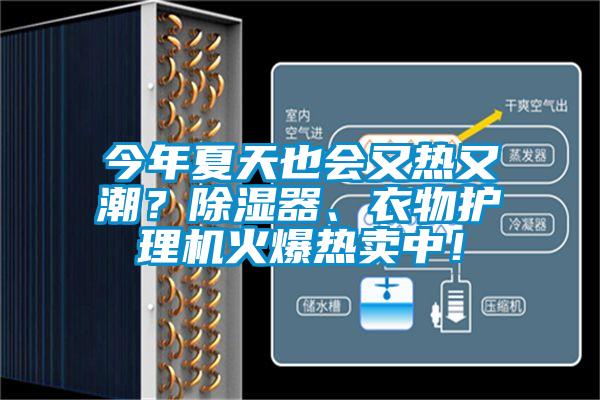 今年夏天也會(huì)又熱又潮？除濕器、衣物護(hù)理機(jī)火爆熱賣中！