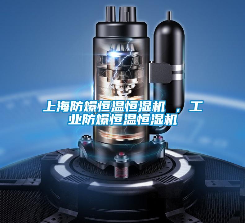 上海防爆恒溫恒濕機 ，工業(yè)防爆恒溫恒濕機