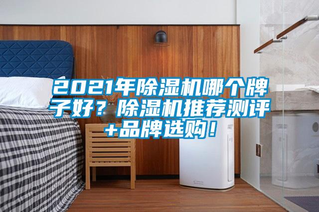 2021年除濕機(jī)哪個牌子好？除濕機(jī)推薦測評+品牌選購！