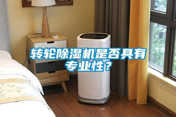 轉(zhuǎn)輪除濕機(jī)是否具有專業(yè)性？