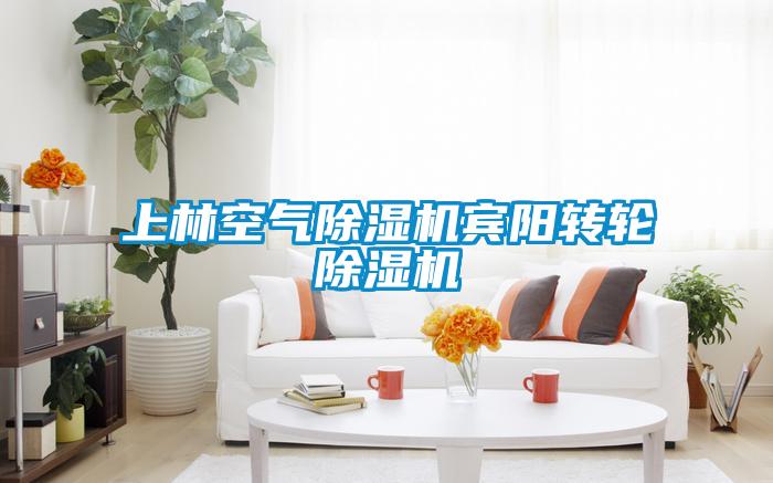 上林空氣除濕機(jī)賓陽轉(zhuǎn)輪除濕機(jī)