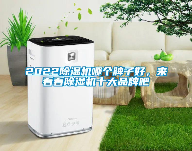 2022除濕機(jī)哪個(gè)牌子好，來(lái)看看除濕機(jī)十大品牌吧