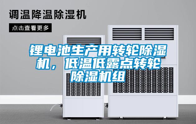鋰電池生產(chǎn)用轉輪除濕機，低溫低露點轉輪除濕機組
