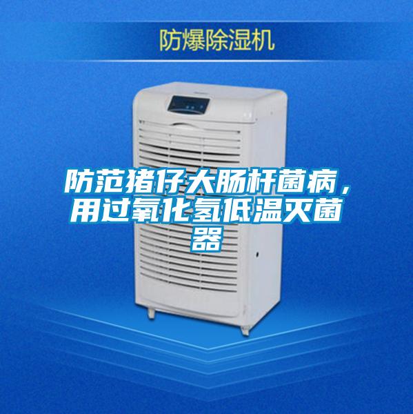 防范豬仔大腸桿菌病，用過氧化氫低溫滅菌器
