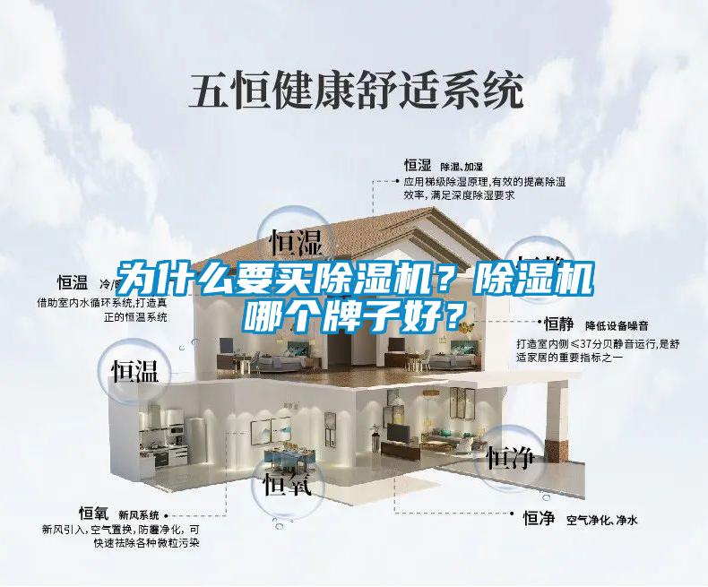 為什么要買(mǎi)除濕機(jī)？除濕機(jī)哪個(gè)牌子好？