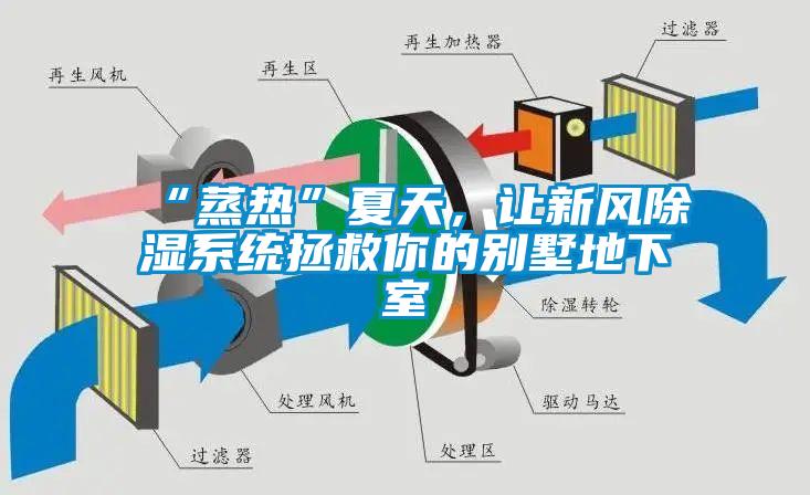 “蒸熱”夏天，讓新風(fēng)除濕系統(tǒng)拯救你的別墅地下室