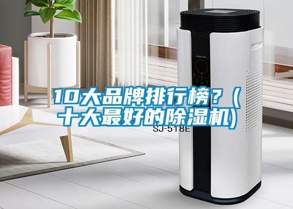 10大品牌排行榜？(十大最好的除濕機(jī))
