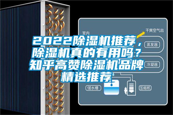 2022除濕機(jī)推薦，除濕機(jī)真的有用嗎？知乎高贊除濕機(jī)品牌精選推薦