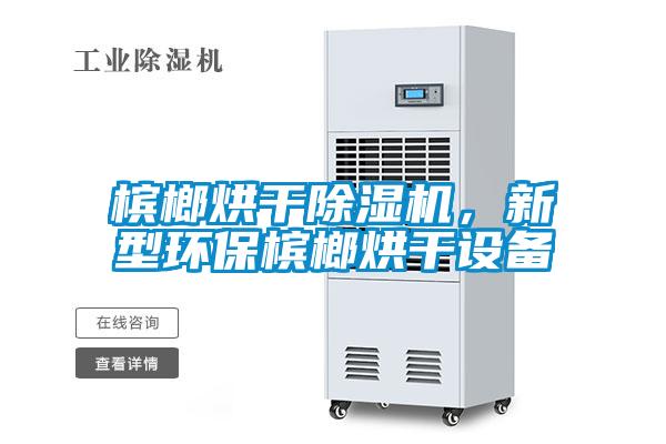 檳榔烘干除濕機，新型環(huán)保檳榔烘干設備