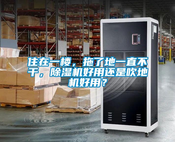 住在一樓，拖了地一直不干，除濕機(jī)好用還是吹地機(jī)好用？