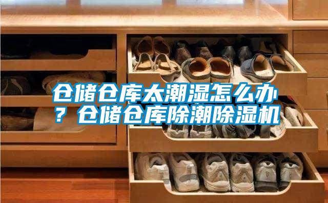 倉(cāng)儲(chǔ)倉(cāng)庫(kù)太潮濕怎么辦？倉(cāng)儲(chǔ)倉(cāng)庫(kù)除潮除濕機(jī)