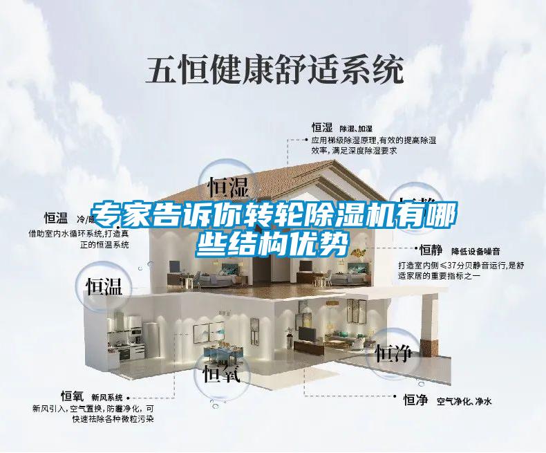 專家告訴你轉(zhuǎn)輪除濕機(jī)有哪些結(jié)構(gòu)優(yōu)勢