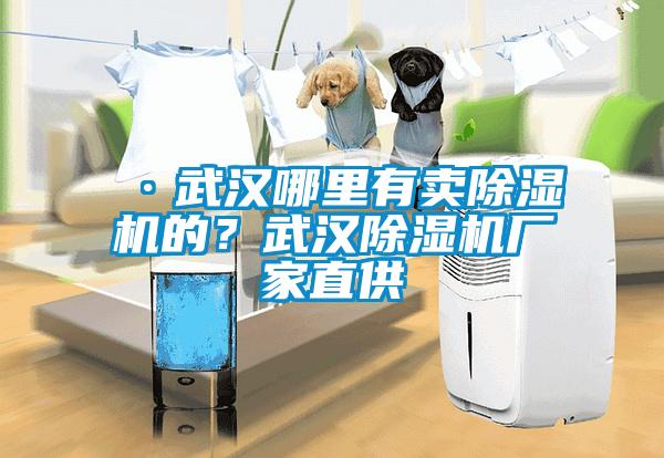 ·武漢哪里有賣除濕機(jī)的？武漢除濕機(jī)廠家直供