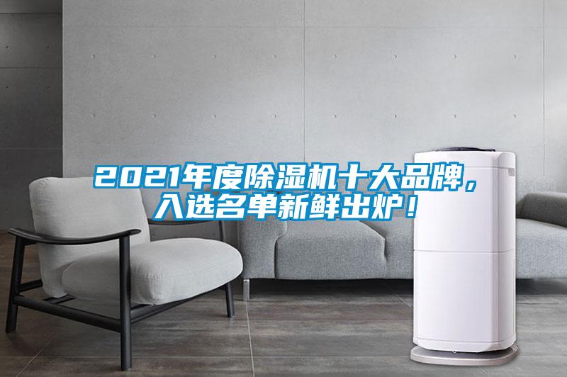 2021年度除濕機(jī)十大品牌，入選名單新鮮出爐！
