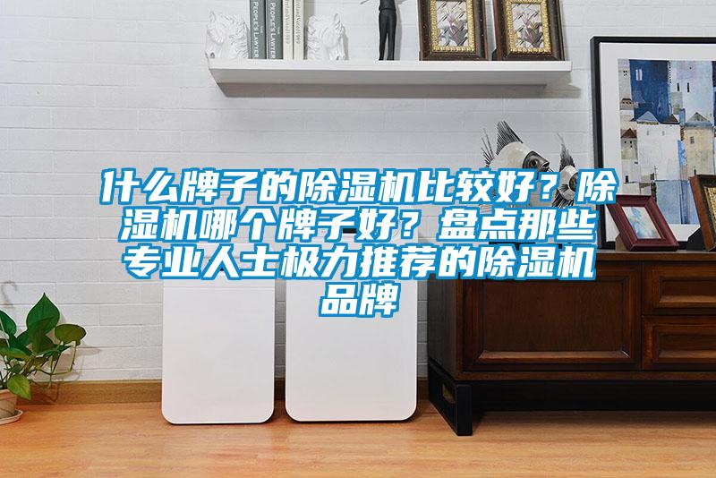 什么牌子的除濕機(jī)比較好？除濕機(jī)哪個(gè)牌子好？盤點(diǎn)那些專業(yè)人士極力推薦的除濕機(jī)品牌