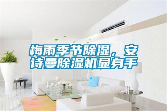 梅雨季節(jié)除濕，安詩曼除濕機顯身手