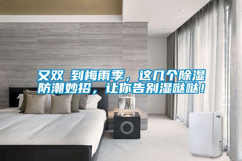 又雙叒到梅雨季，這幾個(gè)除濕防潮妙招，讓你告別濕噠噠！