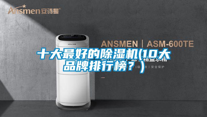 十大最好的除濕機(jī)(10大品牌排行榜？)