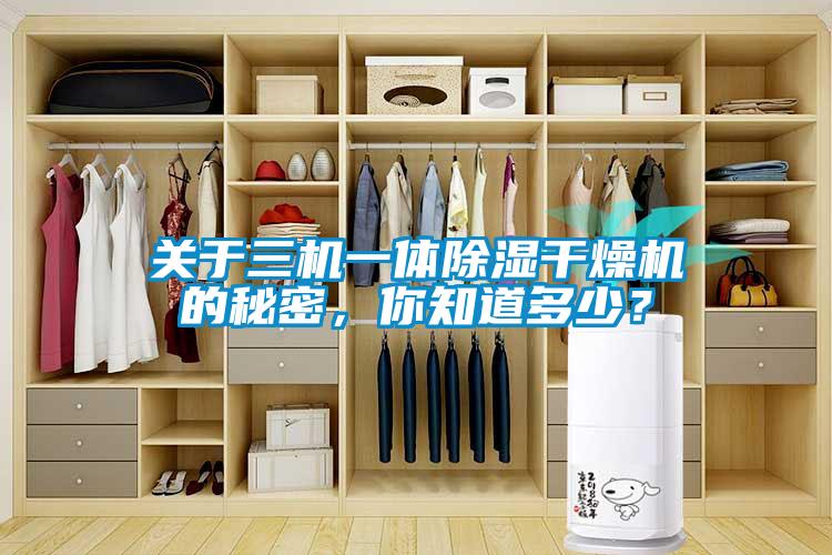 關于三機一體除濕干燥機的秘密，你知道多少？