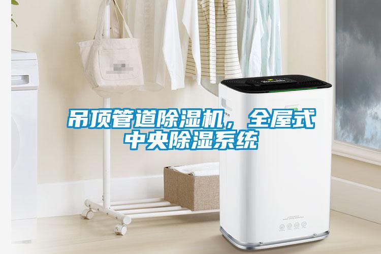 吊頂管道除濕機，全屋式中央除濕系統(tǒng)