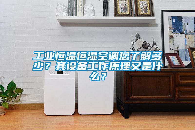 工業(yè)恒溫恒濕空調(diào)您了解多少？其設(shè)備工作原理又是什么？