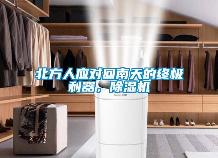 北方人應對回南天的終極利器，除濕機