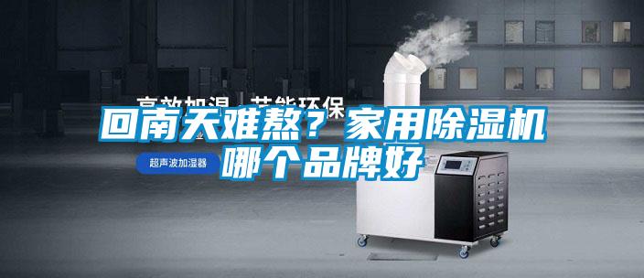 回南天難熬？家用除濕機(jī)哪個品牌好